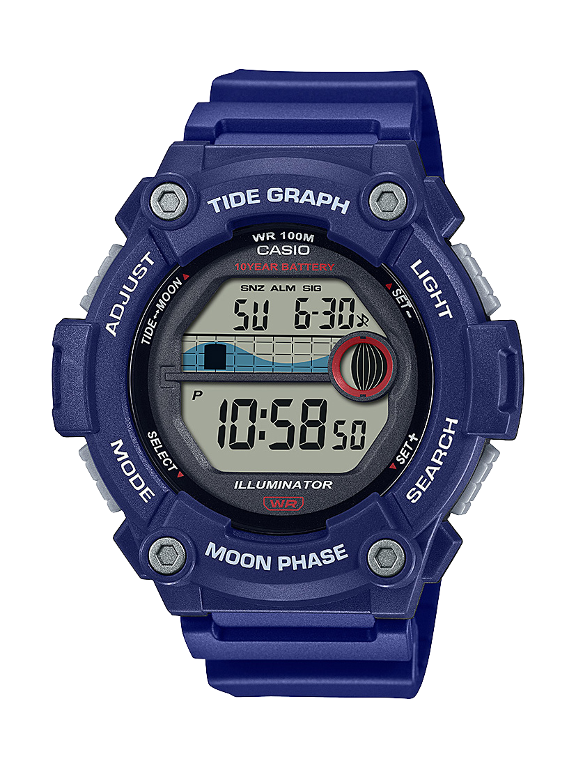 WS1300H-2A