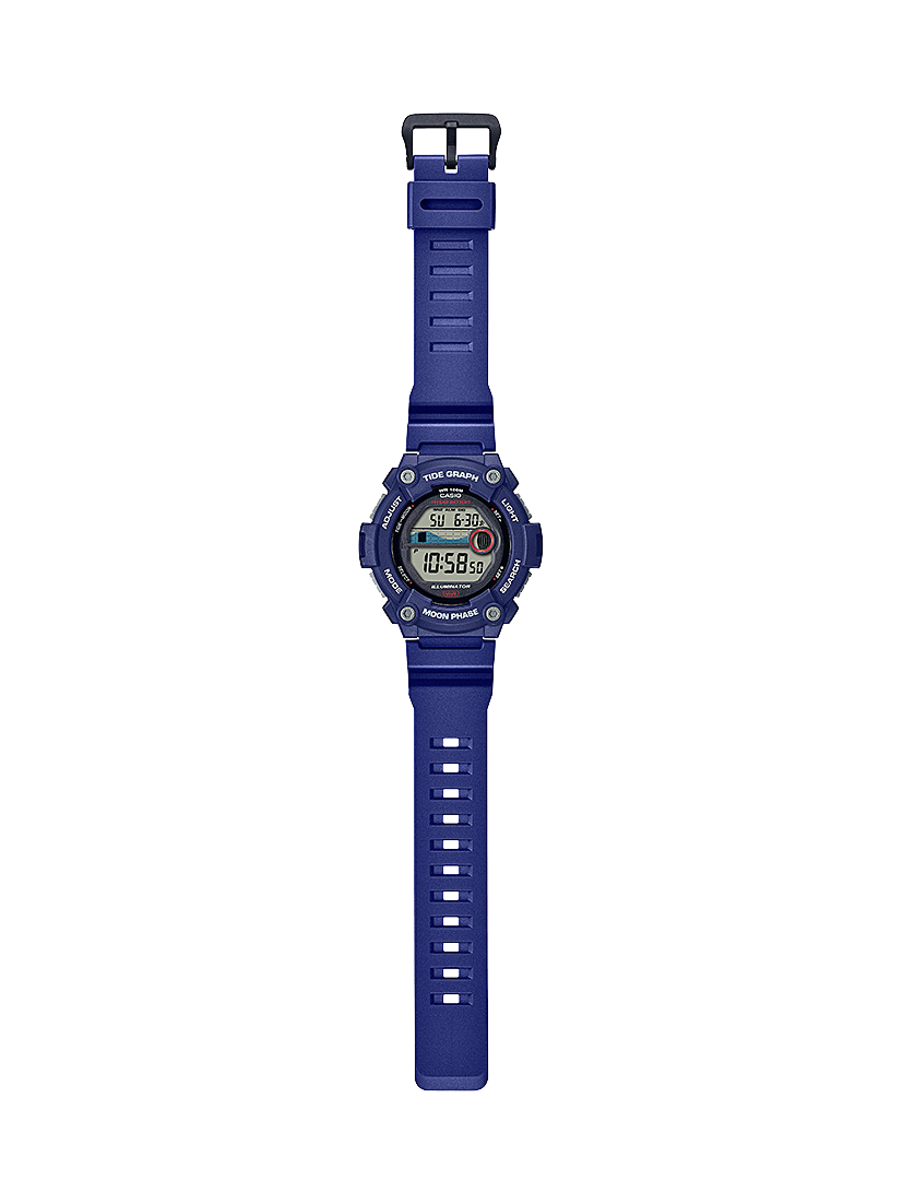 WS1300H-2A