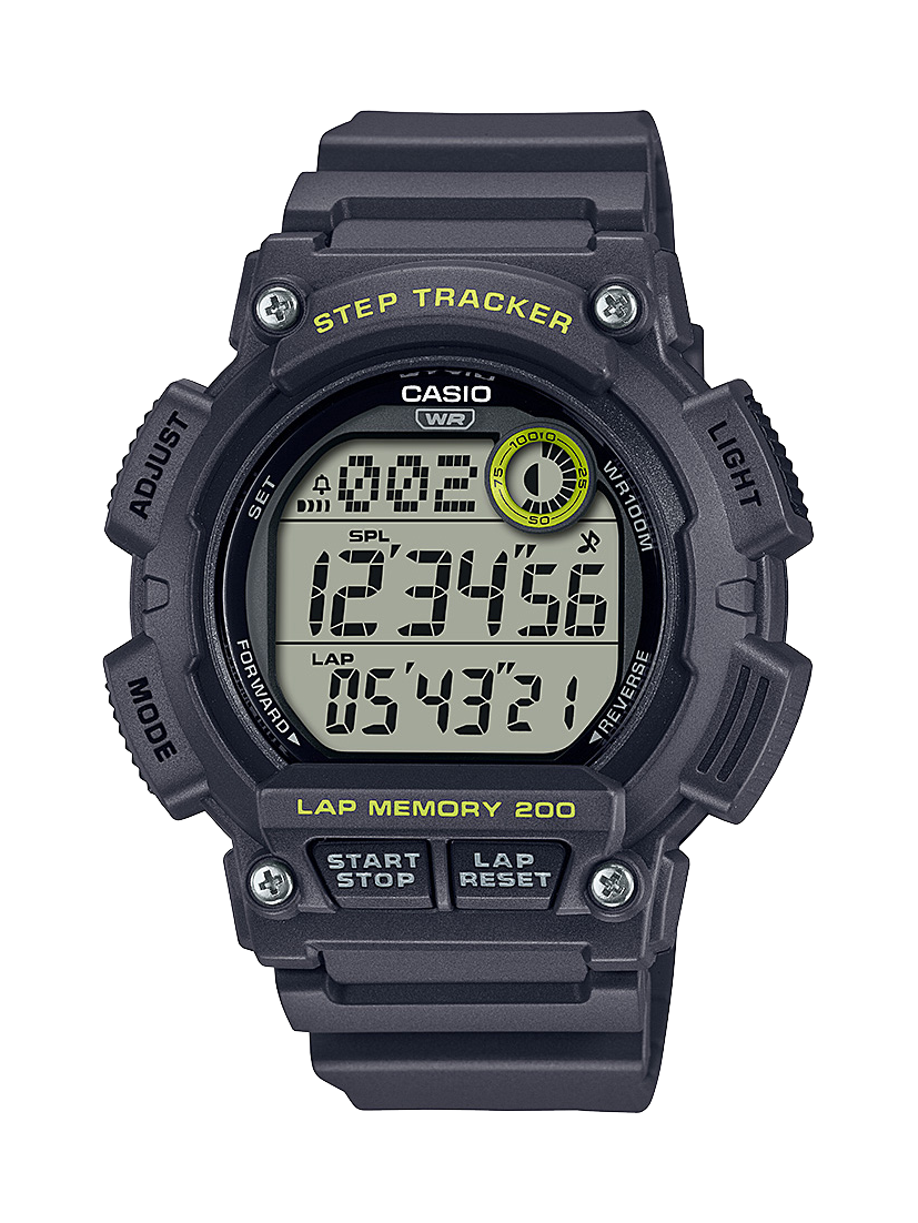 WS2100H-8A
